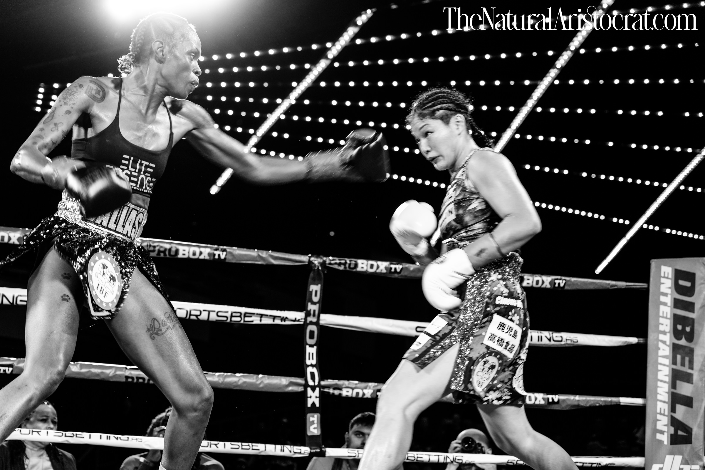 MSG Photos: Miyo Yoshida vs Shurretta Metcalf boxing – October 24, 2024