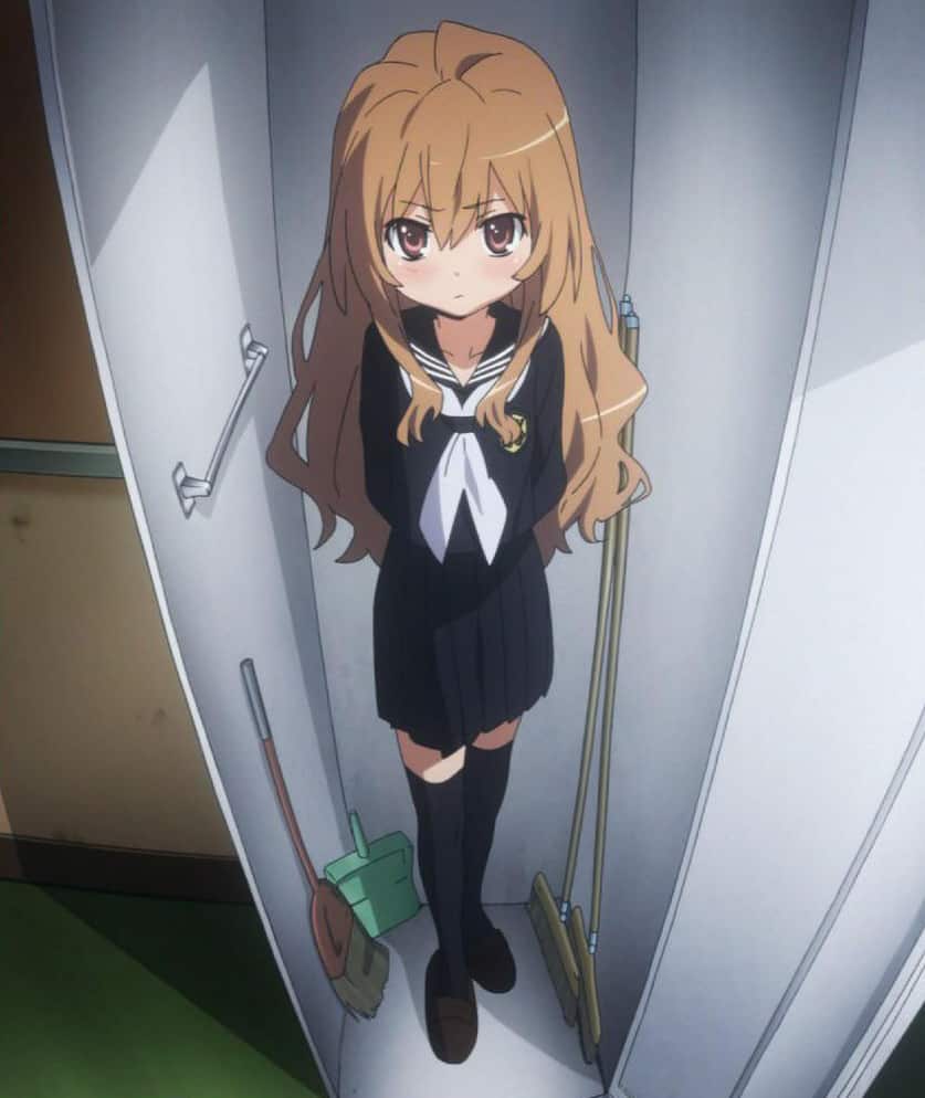 Is it just me or is taiga the most reliable anime girl to exist : r/toradora