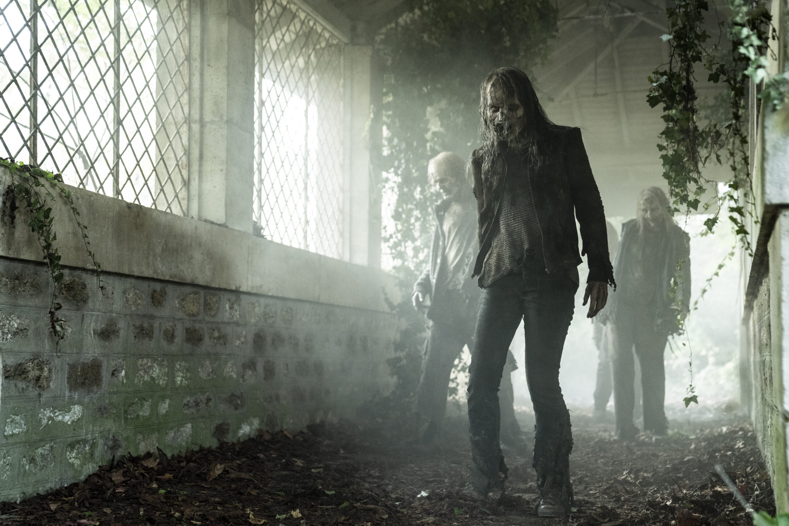  - The Walking Dead: Daryl Dixon _ Season 1 - Photo Credit: Emmanuel Guimier/AMC