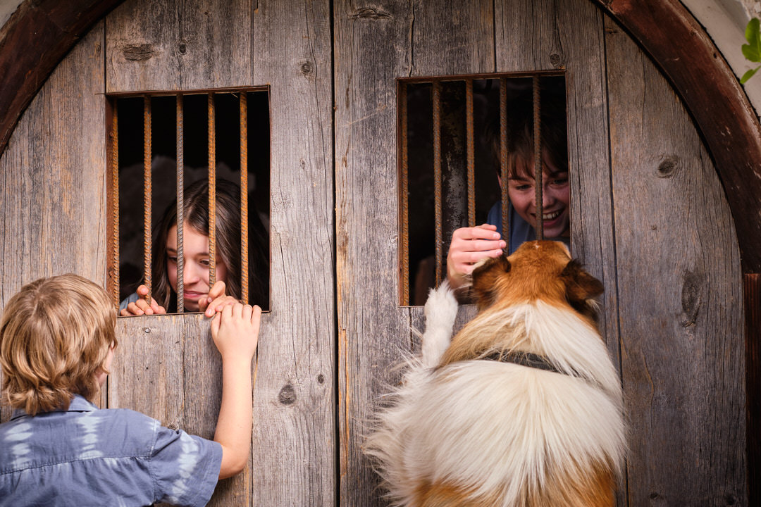 Lassie frees owner. Photo Credit: Oliver Oppitz Photography