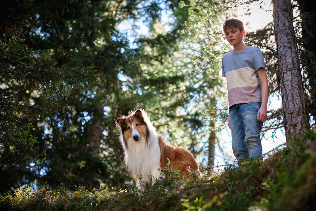 Lassie in 2024 movie. Photo Credit: Oliver Oppitz Photography