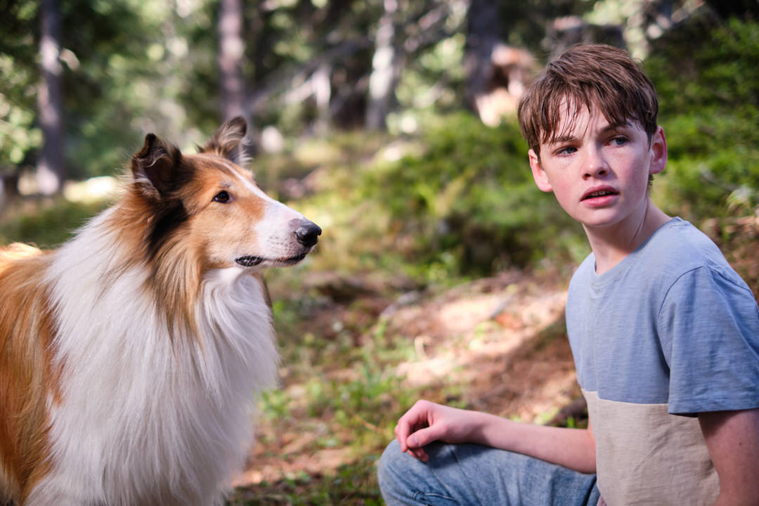 Lassie movie. Photo Credit: Oliver Oppitz Photography