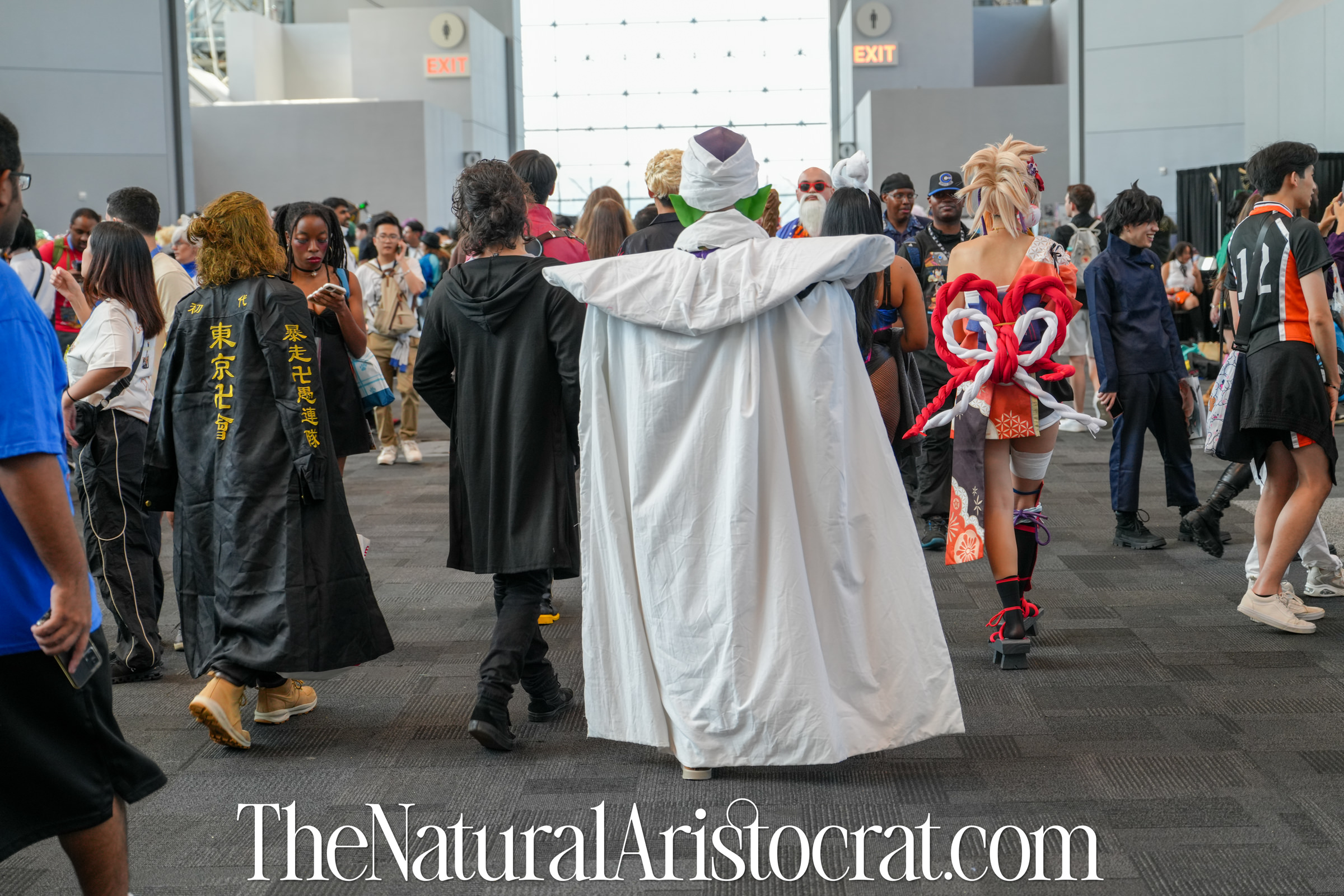 Piccolo cosplayer at Anime NYC 2024. Photo Credit: © 2024 Nir Regev / TheNaturalAristocrat.com