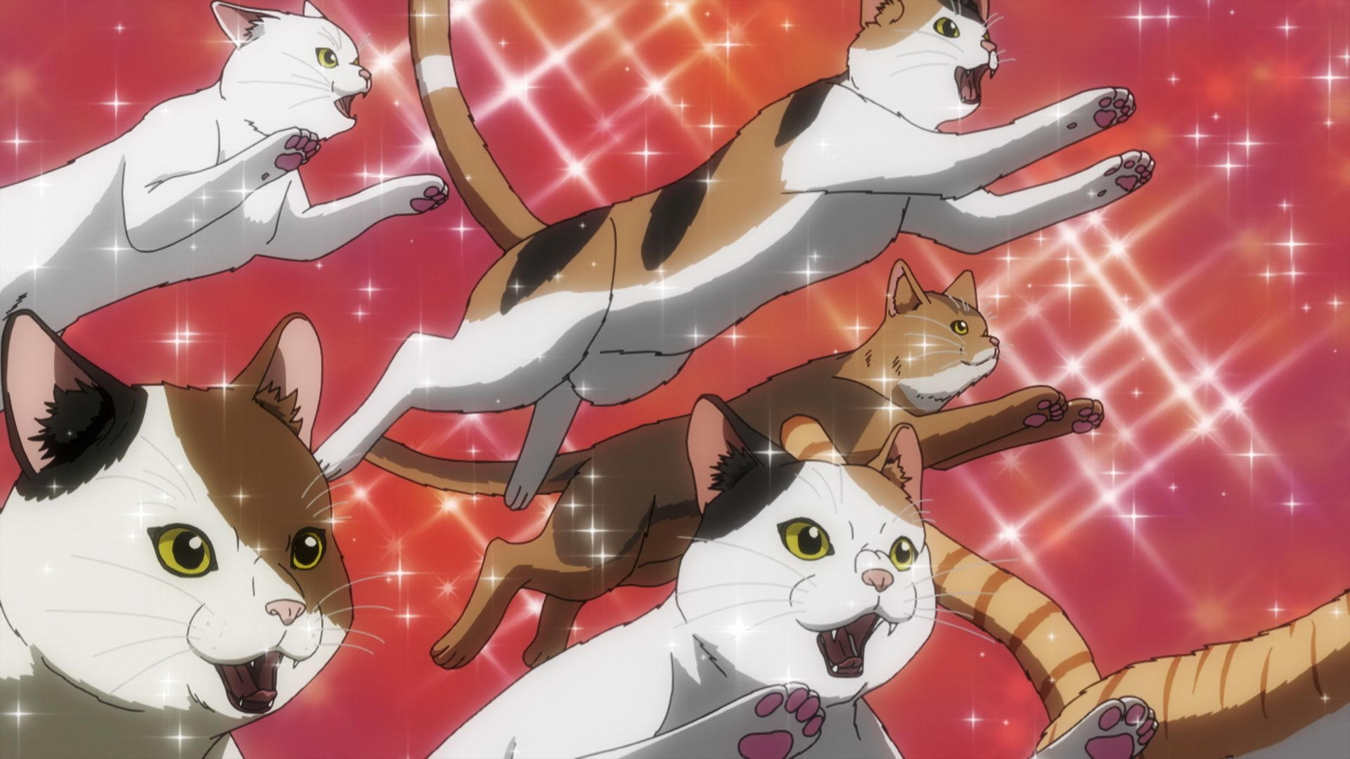 N'Yaight of The Living Cat. Art Provided by Fantasia International Film Festival
